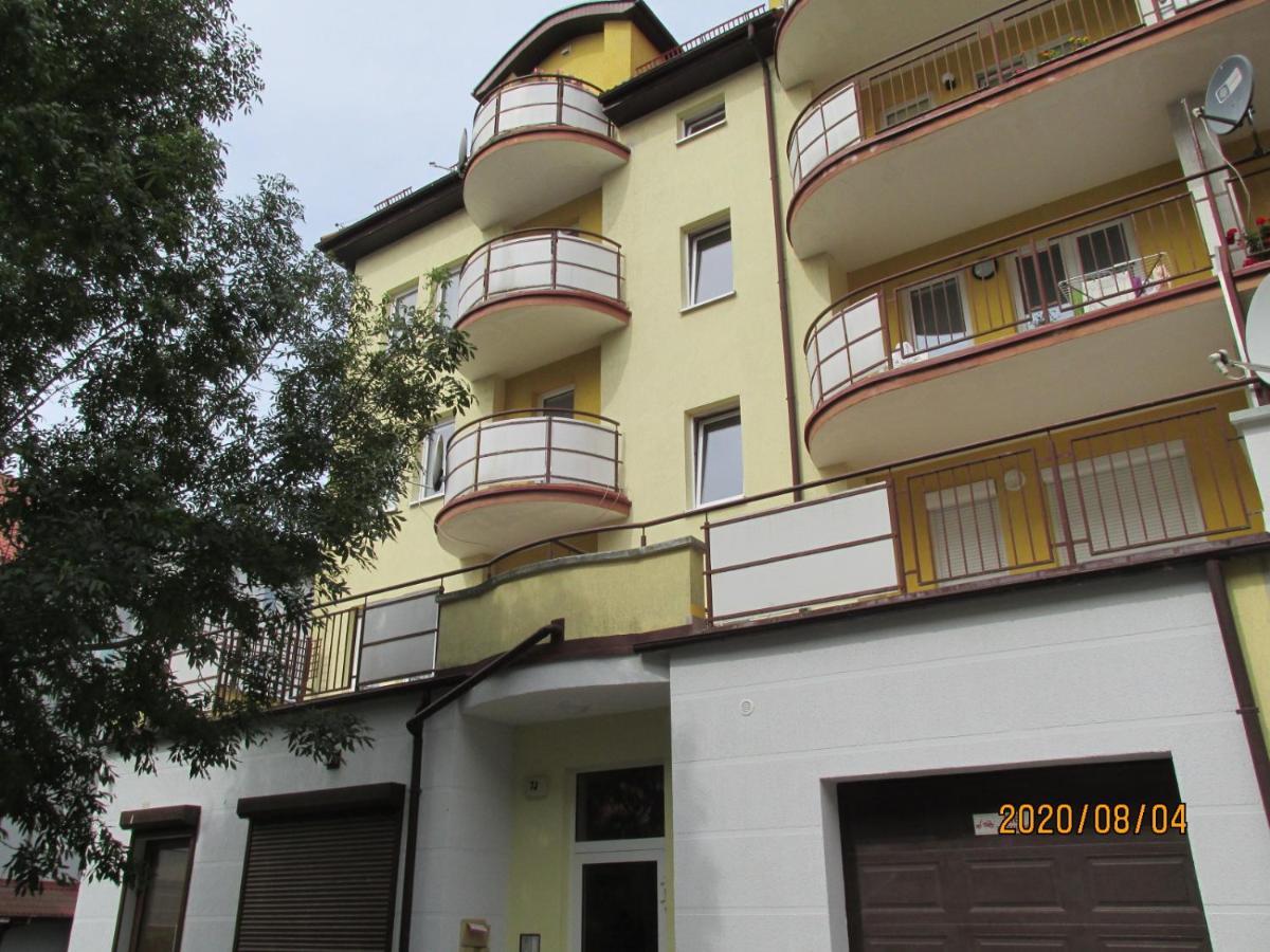 Viola Apartament